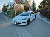 Tesla Model 3 RWD Panorama, 8-fach, nur bis 27.04.  - Tesla Model 3 in Düsseldorf