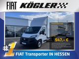 Fiat DUCATO KOFFER MAX 35 5H1 180D HEBEBÜHNE 36% - Fiat Ducato Gebrauchtwagen in Frankfurt