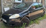 Fiat Punto Grande 1.2 Rentner Hand - Fiat Punto in Solingen