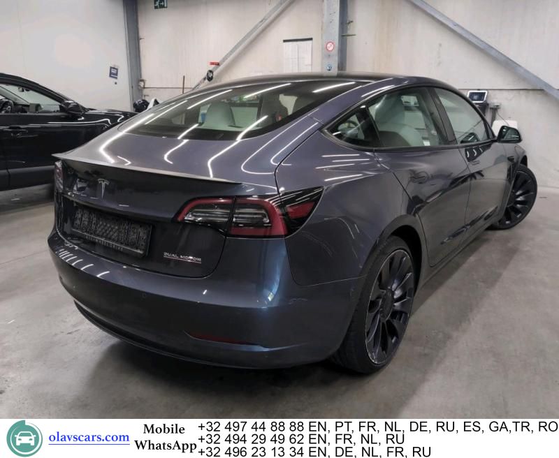 Tesla Model 3 Performance AWD Pano LED Navi Leather C imagem 2