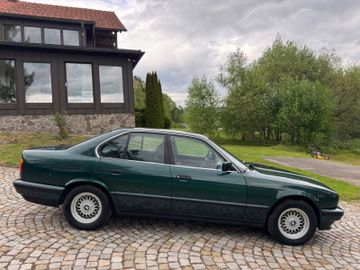 BMW 525 - 10
