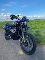 Triumph Scrambler 1200 Bond Edition 229/250 - TRIUMPH SCRAMBLER
