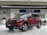 Honda CR-V 2.2 Comfort 4WD Leder Navi Kamera Pano - Honda Gebrauchtwagen in Braunschweig