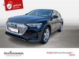 Audi e-tron 50 quattro Navi Panoramadach 360°Kamera