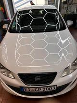 Seat seat Ibiza 2,0 Diesel FR 143 PS Euro 5 - Seat Ibiza aus 2010: Fr