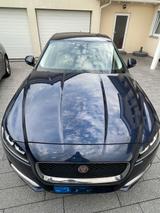 Jaguar XF 20d 180PS Prestige Automatik  - Jaguar XF von privat