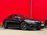 Alfa Romeo Giulia Quadrifoglio*DT Auto*Carbon*NO OPF*H&K - Alfa Romeo Giulia in Köln