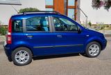 Fiat Panda - gebrauchte Fiat Panda aus dem Jahr 2009