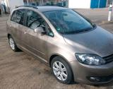 Volkswagen Golf Plus 1.4 TSI 90 kw 122 Ps ... - VW Golf Plus von 2026