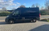Fiat Ducato Multijet 130 L2H2 - Fiat Ducato: Multijet
