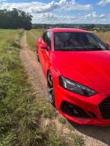 Audi RS5 2.9 TFSI tiptronic quattro Sportback - - gebrauchte Audi RS5 aus dem Jahr 2020