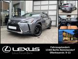 Lexus UX 250h 2,0 HEV Luxury Line * Schiebedach * 360  - Lexus UX: Luxury Line