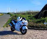 Suzuki Hayabusa 1300R - Offers matching your search criteria
