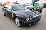 Jaguar Daimler Super Eight 4,2L SUPERCHARGED*1-HAND*19° - Jaguar Daimler: Limousine