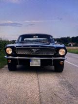 Ford TOP saniert, Ford Mustang 6-1966 - Ford Mustang in Halle