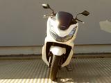 Honda PCX125 wenig km - HONDA PCX