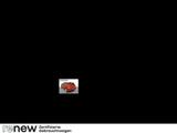 Renault Clio V 1.0 SCe 65 Evolution LED*SHZ*PDC*Klima - gebrauchte Renault Clio aus dem Jahr 2024