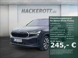 Skoda Kodiaq Selection 2.0 TDI DSG AHK Navi PDC v+h