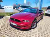 Ford Mustang V6 3,7L Cabrio Xenon Premium Automatik - gebrauchte Ford Mustang aus dem Jahr 2013