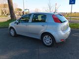 Fiat Punto 1.2 8V 5 porte Lounge UNIPRO' - Fiat Punto LOUNGE mit Benzin-Antrieb