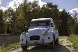Citroën 2 CV Club  - Citroën 2 CV aus 1985