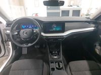 Skoda Octavia - Vorschau Bild 4