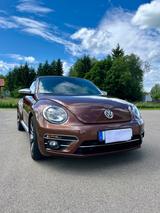Volkswagen Beetle Cabriolet 1.4 TSI BMT  ALLSTAR - VW Beetle von privat