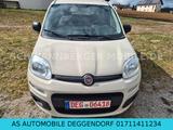 Fiat Panda Easy-KLIMA-1.HAND-EURO6 - Fiat Panda: Limousine
