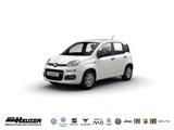 Fiat Panda MY25 Hybrid 1.0 GSE JULI CITY-PAKET TEMPOM - Fiat Panda New cars