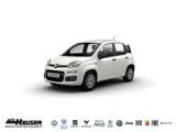 Fiat Panda MY25 Hybrid 1.0 GSE JULI CITY-PAKET TEMPOM - Fiat Panda Neuwagen mit Benzin-Antrieb