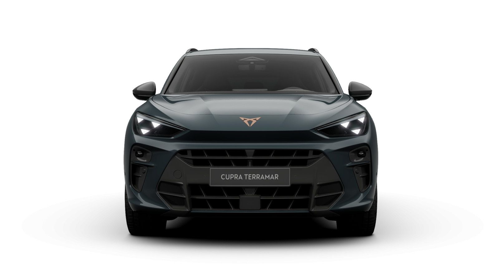 Cupra Terramar - Bild 4