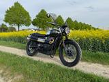 Triumph Scrambler 900 CHROME EDITION BROOKLANDS GREEN