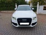 Audi SQ5 3.0 TDI  DPF competition quattro  Navi - Audi A6 mit Diesel-Antrieb: Geländewagen, Automatik
