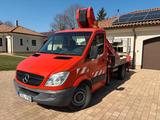 Mercedes-Benz Sprinter Ruthmann TB 220 TOP Zustand