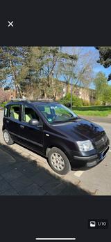 Fiat Panda - Fiat Panda Gebrauchtwagen in Krefeld
