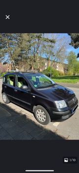 Fiat Panda - Fiat Panda in Mönchengladbach