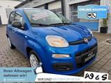 Fiat Panda MY25 1.0 GSE *5-Sitzer*GRA* PDC*Bluet.* - Fiat Panda: Sitze