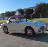Austin Healey Sprite mk1 frogeye - Austin Healey: Frogeye