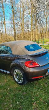 Volkswagen Beetle 1.4 TSI BMT Exclusive Design Cabriole... - Volkswagen Beetle in Wuppertal