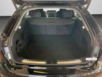 Audi A5 - Vorschau Bild 16
