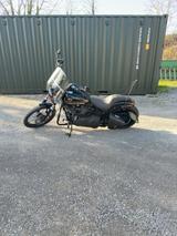 Harley-Davidson Softail Custom - Offers