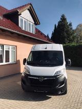 Opel Movano C Kasten HKa L2H2 3,5t Edition - gebrauchte Opel Movano aus dem Jahr 2023