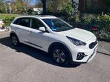 Kia Niro Plug-in Hybrid Spirit AHK Leder Glasdach - Kia Niro: Limousine