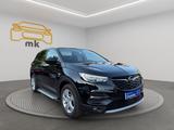 Opel Grandland (X) 2.0/AUT./NAVI/AHK/SHZG - Opel Grandland (X) in Saarbrücken