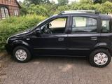 Fiat Panda - Fiat Panda in Hannover
