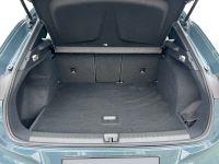 Cupra Terramar - Vorschau Bild 6