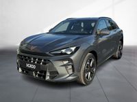 Cupra Terramar - Vorschau Bild 2