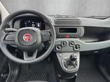 Fiat Panda 1.0 Firefly Hybrid //PDC hinten/Spurhaltea - Fiat Panda Jahreswagen