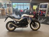 Honda XL750 Transalp *beschädigt* - HONDA XL750 TRANSALP