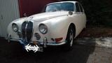 Jaguar S Type Oldtimer - Jaguar aus 1965